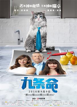 成年视频在线播放