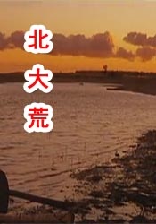 欧美极品美女电影一区